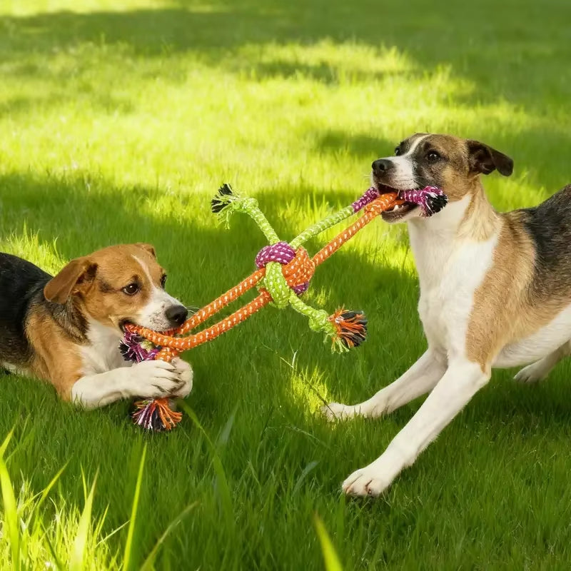 Durable Dog Rope Toy Teeth Cleaning Pet Interactive Chewing Dog Toy Outdoor Training Puppy Bone Knot Rope Pet Products